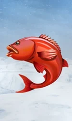 Ice Fishing