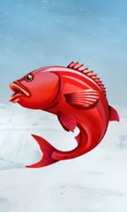 Ice Fishing