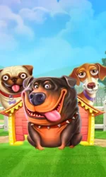The Dog House